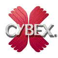 cybex kvm--cybex kvm switches