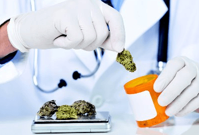 stulz medical cannabis 42u